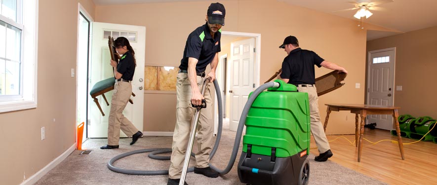 Lake City, MI cleaning services